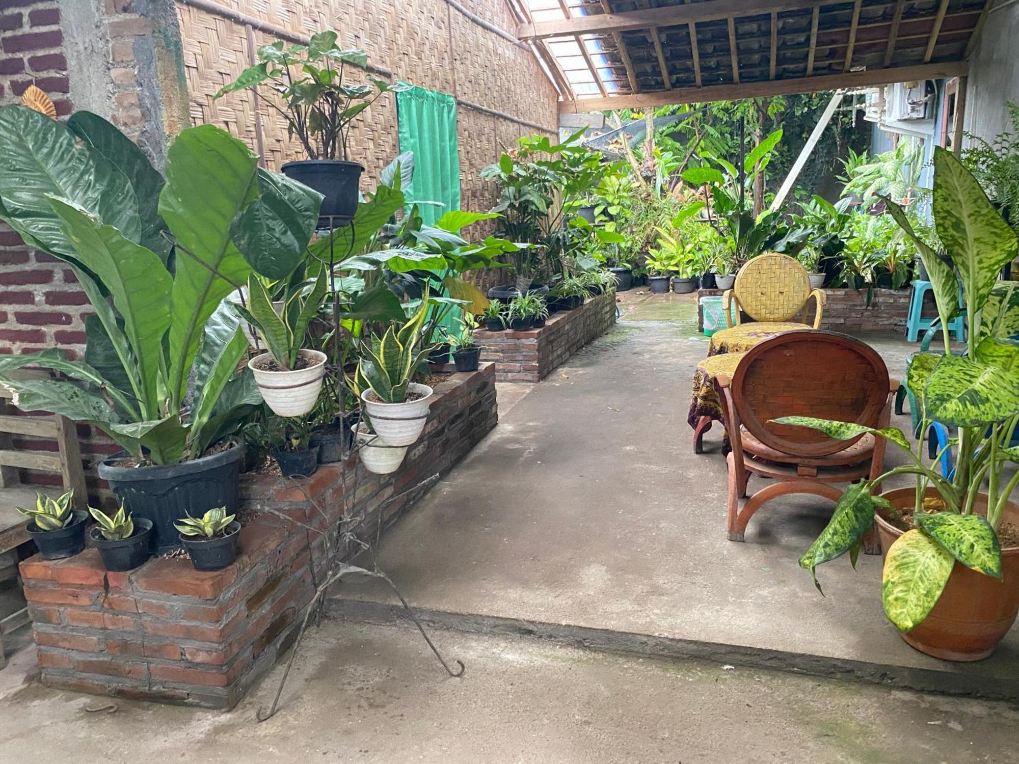 Ada Homestay Magelang Exteriér fotografie