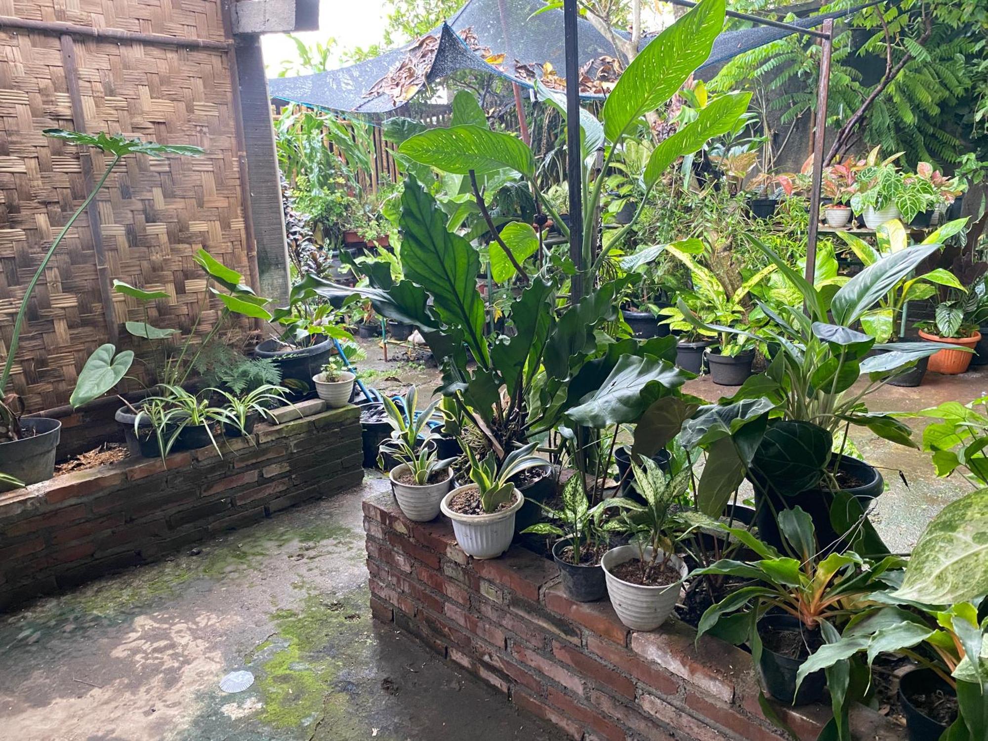 Ada Homestay Magelang Exteriér fotografie
